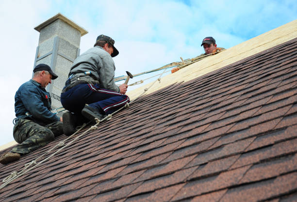 Quick and Trustworthy Emergency Roof Repair Services in North Salt Lake, UT